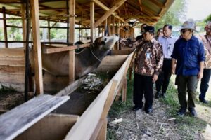 Ⓒ Hak cipta foto di atas dikembalikan sesungguhnya kepada pemilik foto