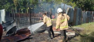 Ⓒ Hak cipta foto di atas dikembalikan sesungguhnya kepada pemilik foto