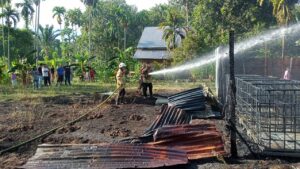 Ⓒ Hak cipta foto di atas dikembalikan sesungguhnya kepada pemilik foto