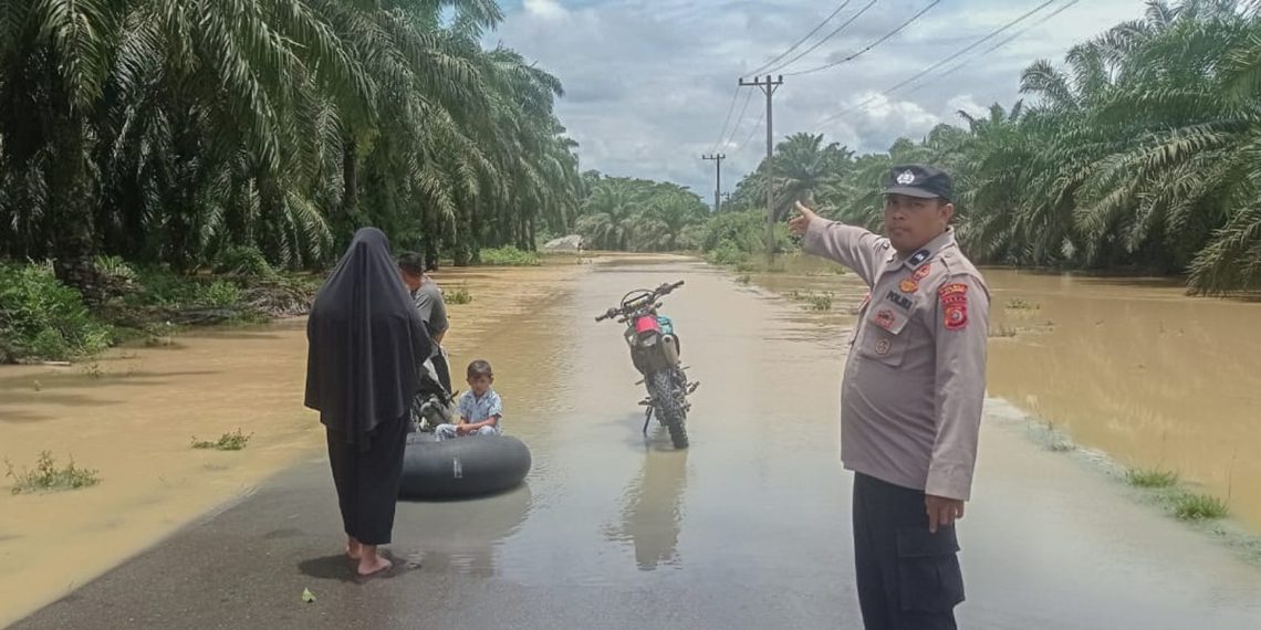 Ⓒ Hak cipta foto di atas dikembalikan sesungguhnya kepada pemilik foto