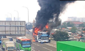 Ⓒ Hak cipta foto di atas dikembalikan sesungguhnya kepada pemilik foto