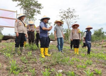 Ⓒ Hak cipta foto di atas dikembalikan sesungguhnya kepada pemilik foto