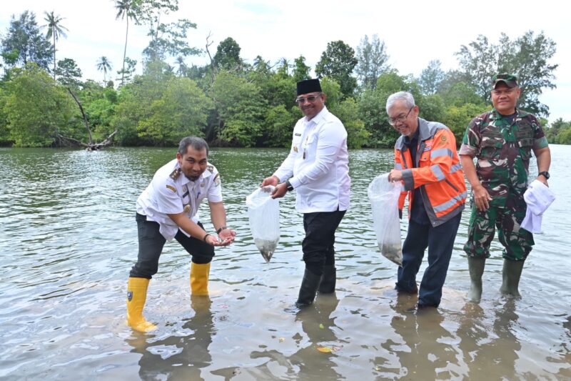 Ⓒ Hak cipta foto di atas dikembalikan sesungguhnya kepada pemilik foto