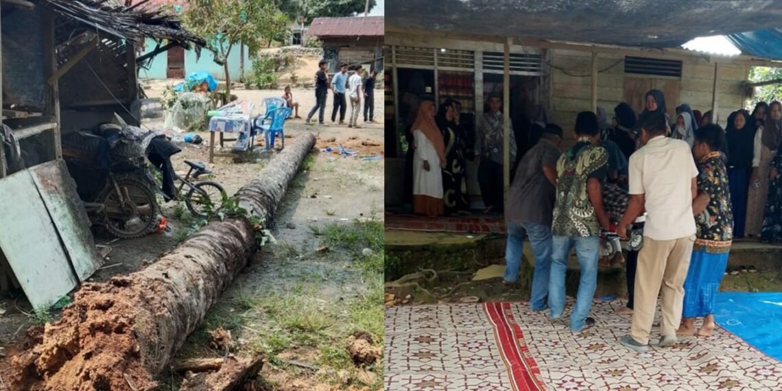 Ⓒ Hak cipta foto di atas dikembalikan sesungguhnya kepada pemilik foto