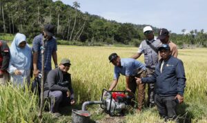 Ⓒ Hak cipta foto di atas dikembalikan sesungguhnya kepada pemilik foto