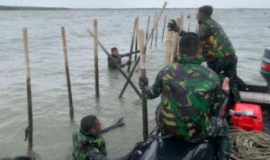 Ⓒ Hak cipta foto di atas dikembalikan sesungguhnya kepada pemilik foto