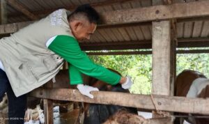 Ⓒ Hak cipta foto di atas dikembalikan sesungguhnya kepada pemilik foto