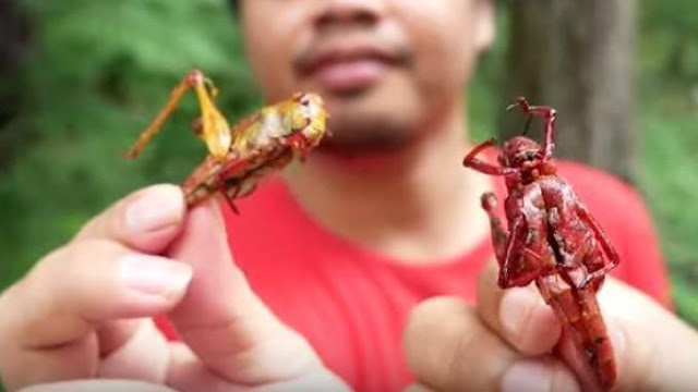 Ⓒ Hak cipta foto di atas dikembalikan sesungguhnya kepada pemilik foto