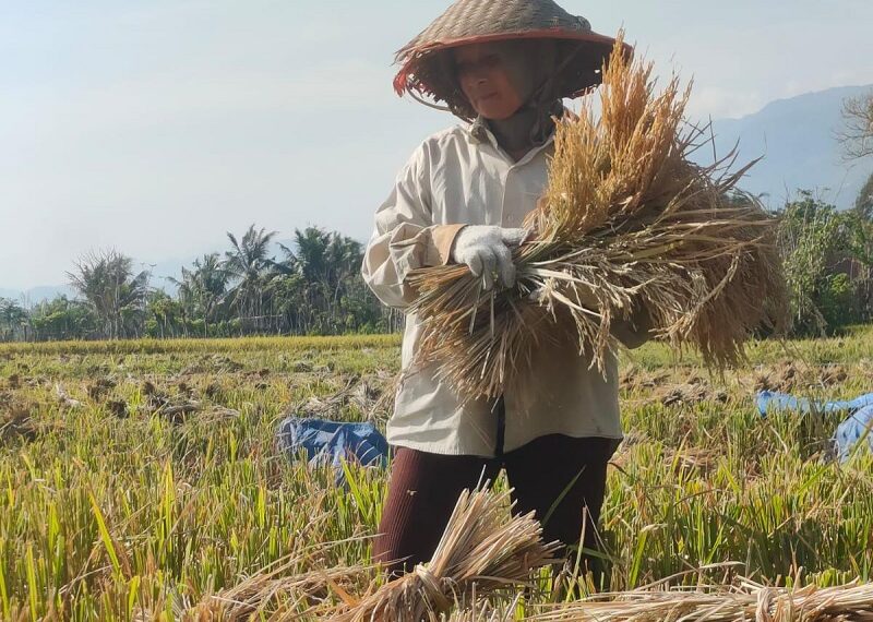 Ⓒ Hak cipta foto di atas dikembalikan sesungguhnya kepada pemilik foto