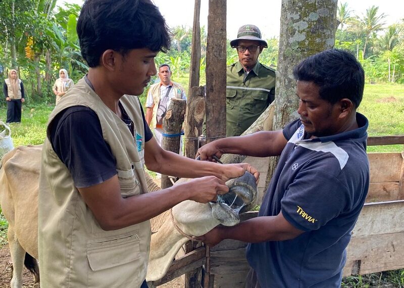 Ⓒ Hak cipta foto di atas dikembalikan sesungguhnya kepada pemilik foto