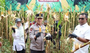 Ⓒ Hak cipta foto di atas dikembalikan sesungguhnya kepada pemilik foto