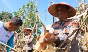 Ⓒ Hak cipta foto di atas dikembalikan sesungguhnya kepada pemilik foto