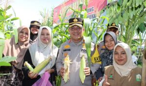 Ⓒ Hak cipta foto di atas dikembalikan sesungguhnya kepada pemilik foto