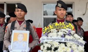 Ⓒ Hak cipta foto di atas dikembalikan sesungguhnya kepada pemilik foto