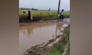 Ⓒ Hak cipta foto di atas dikembalikan sesungguhnya kepada pemilik foto